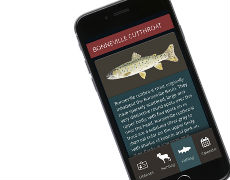 Utah Hunting and Fishing Mobile App